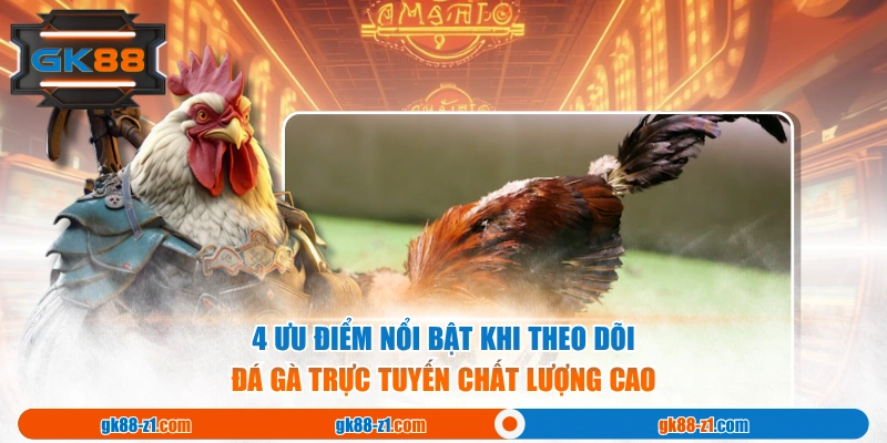 4 ưu điểm nổi bật khi theo dõi đá gà trực tuyến chất lượng cao