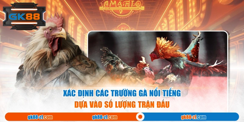Xác định các trường gà nổi tiếng dựa vào số lượng trận đấu